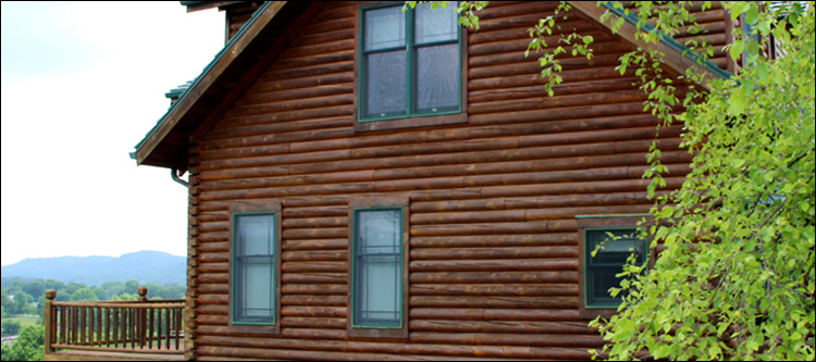 North Carolina Log Home Maintenance Lake Waccamaw, North Carolina